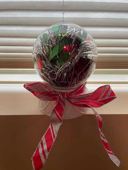 Photo of free Christmas items (Roselle) #2