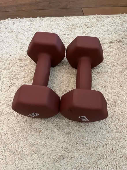 Photo of free 2x 8kg weights (Shippon OX14) #1