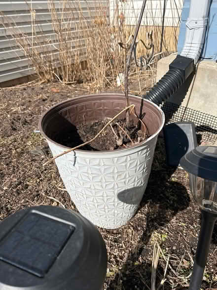 Photo of free Flower pots (Round Lake Beach) #2