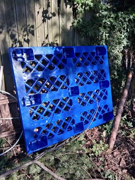 Photo of free Plastic pallets (Haller Lake) #1