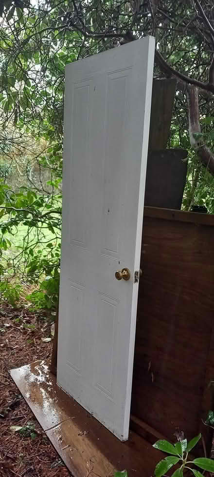 Photo of free internal door (Builth Wells) #2