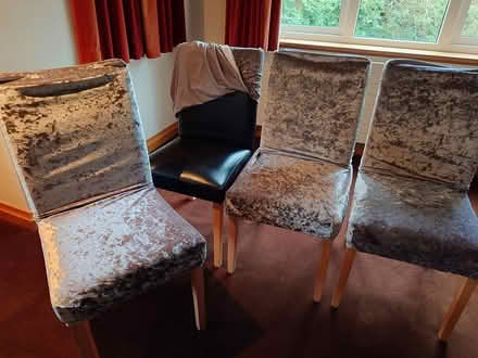 Photo of free 4 Next Dining Chairs WS151QF B774FQ (WS151QF Upper Longdon) #1