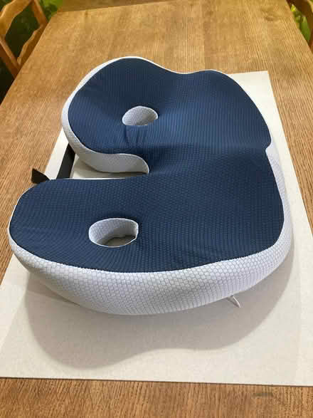 Photo of free Posture Cushion for back pain (Putnoe MK41) #3