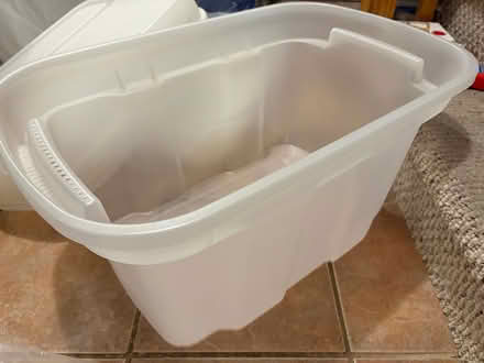 Photo of free Container lids - lids only (L5L 5P5) #3