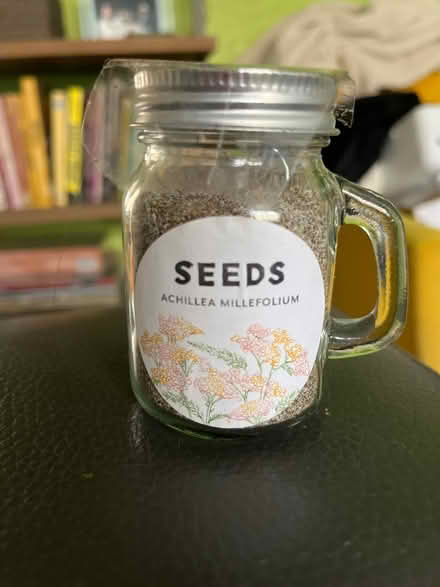 Photo of free Jar of Achillea millefolium seeds (Adam’s Point, Oakland) #1