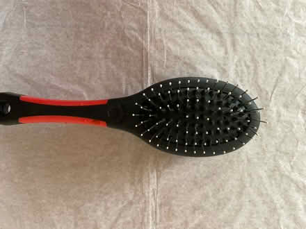 Photo of free Double side cat / dog brush (Covingham SN3) #3