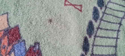 Photo of free Play rug (Allestree DE22) #2