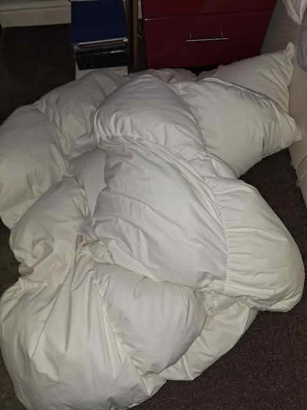 Photo of free Double feather quilt. (Malvern Link WR14) #1