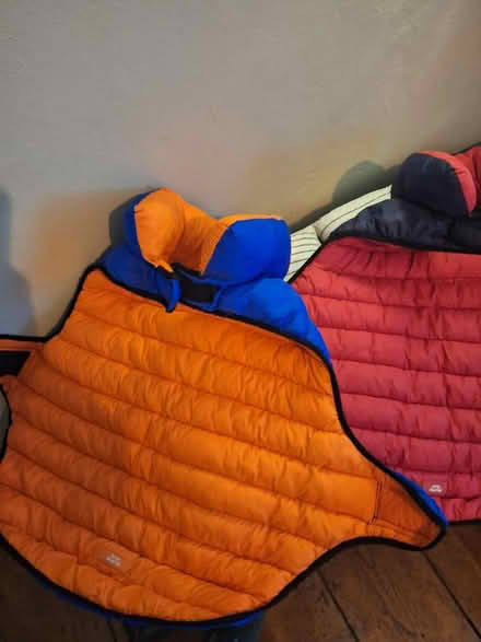 Photo of free Dog coats (Shoreham) #2