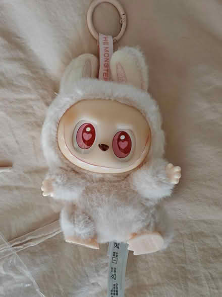 Photo of free Pop Mart Labubu (Near 92nd and Sheridan) #1