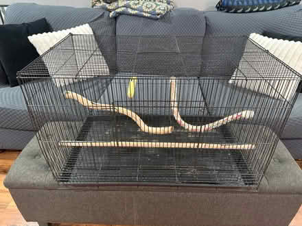 Photo of free Bird cage - crack in base (Greensboro near Wendover Ave) #1