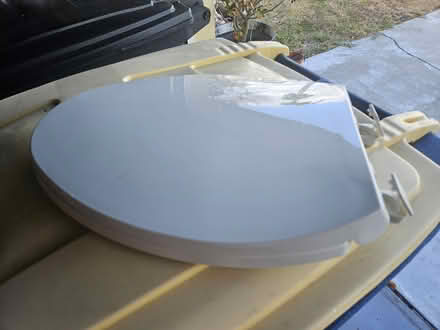 Photo of free Toilette seat cover (Clearwater, Keene and Druid Rd) #1