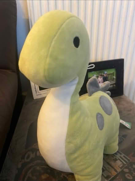 Photo of free Fisher price Toy & Dinosaur 🦕 (Cheshunt En8) #4