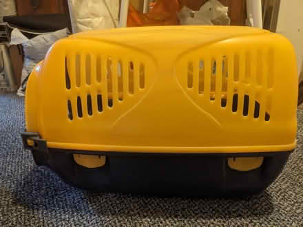 Photo of free Cat carrier (Ealing W5) #2