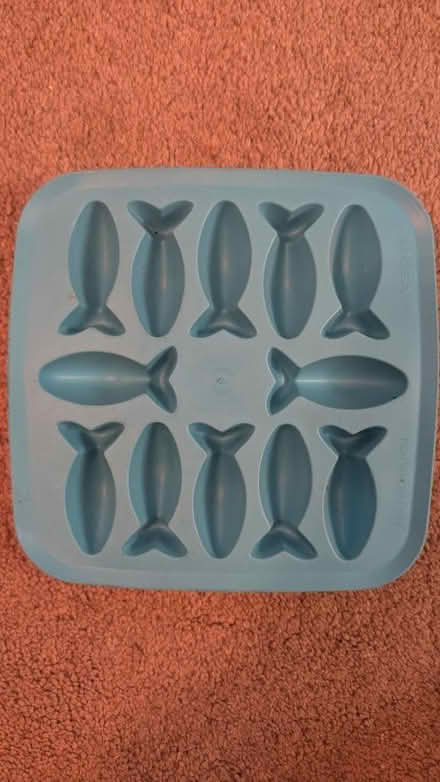 Photo of free Silicone Fish ice cube tray (Crownhill MK8) #1