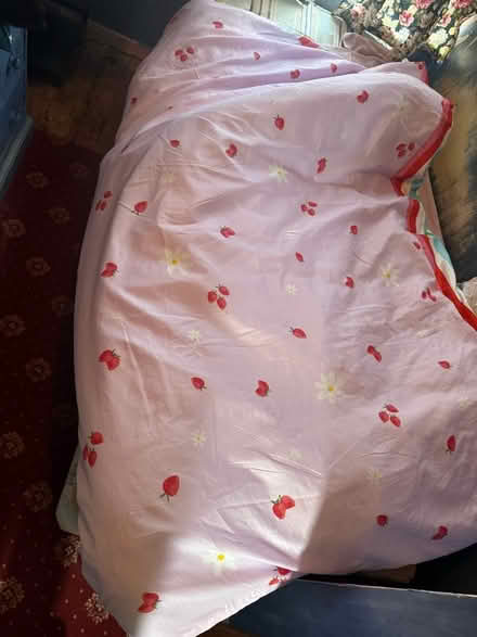 Photo of free Single quilt (The Meadows NG2) #1