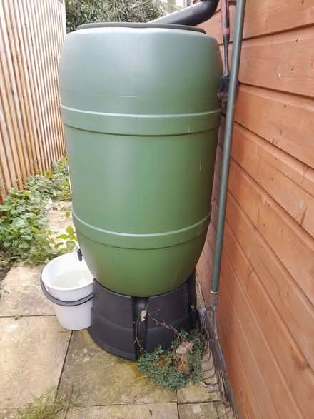 Photo of free 200 l rain water butt (Stisted CM77) #2