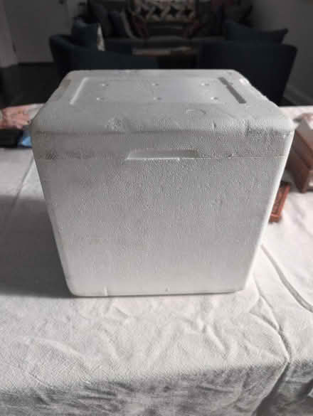 Photo of free Styrofoam insulated box (Brentwood) #1