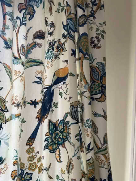 Photo of free Pair of curtains (Cowplain) #2