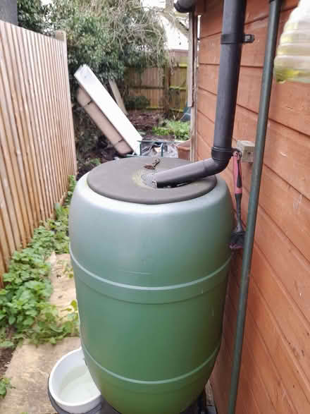 Photo of free 200 l rain water butt (Stisted CM77) #1