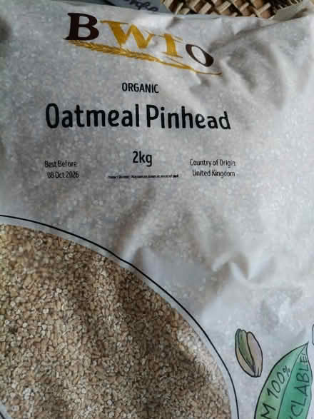 Photo of free Oatmeal Pinhead (HA3) #1