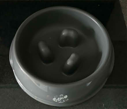 Photo of free Dog Snuffle Bowl (Willaston CH64) #1