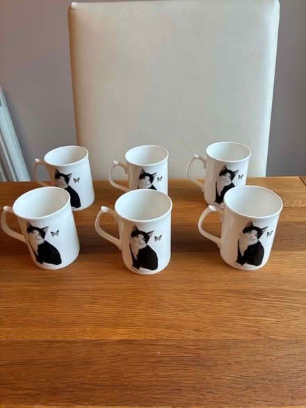 Photo of free 12 Fine China Cat Mugs (Braintree CM7) #1