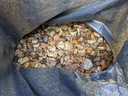Photo of free Gravel (Syon Lane TW7) #1