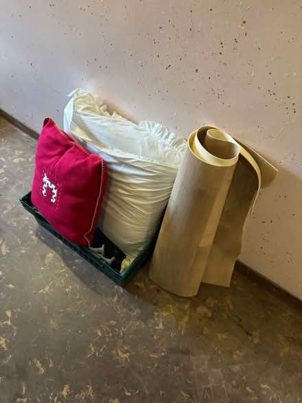 Photo of free lino (PA1) #1