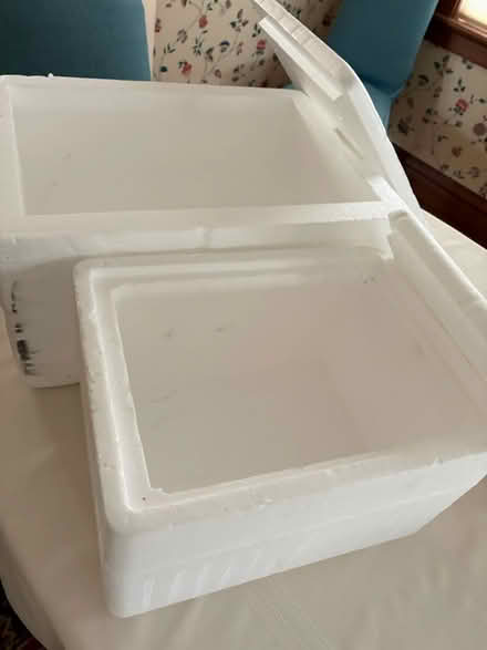 Photo of free Styrofoam coolers - “disposable” (63105 near Forest Park) #2