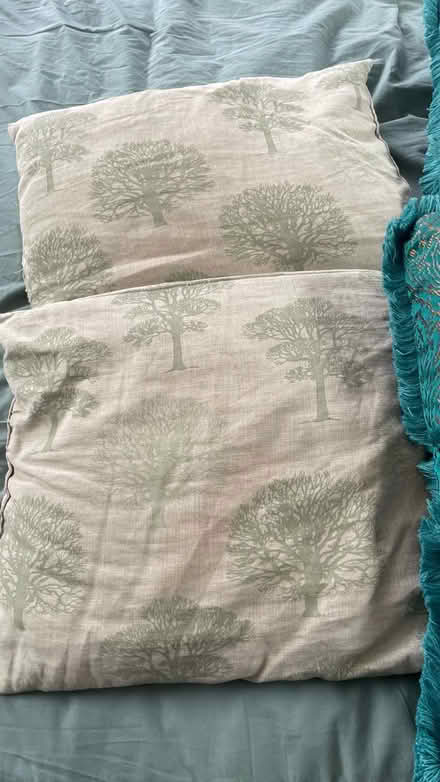 Photo of free 4 cushions (Taffs Well CF15) #3