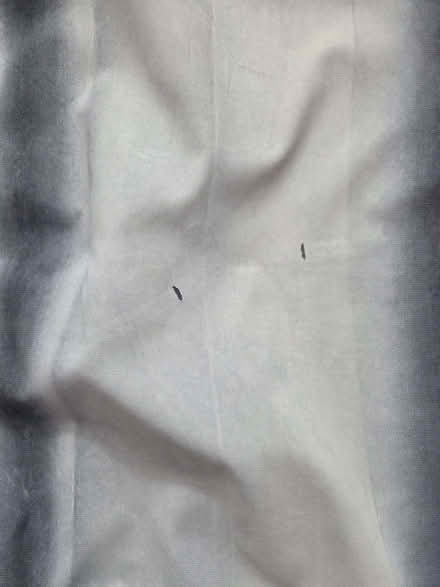 Photo of free Blue Eyelet Curtains (Westcliff-on-sea SS0) #4