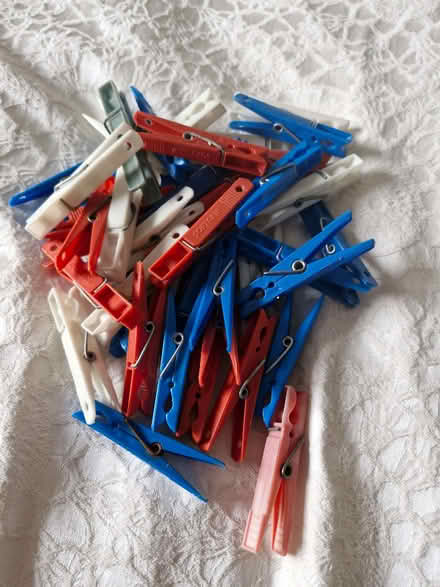Photo of free Plastic clothes pegs (Park District G3) #1