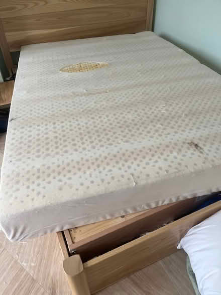 Photo of free Latex double mattress (London NW3 7QL) #2