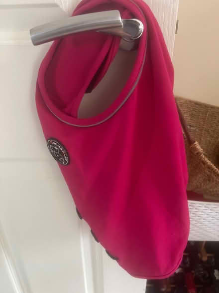 Photo of free Size medium dog vest anxiety (Belle vue Shrewsbury) #1