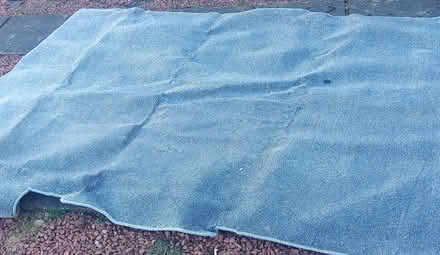 Photo of free Rug (Bannockburn FK7) #4