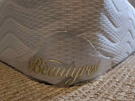 Photo of free Two twin box springs (Old Ottawa south) #1