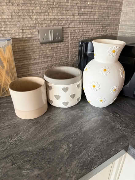 Photo of free 1 flower pot and 2 plant pots (Enfield N13) #1
