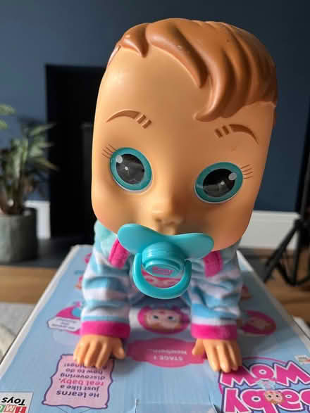Photo of free Baby Wow doll for 3+ (Bear Flat) #2