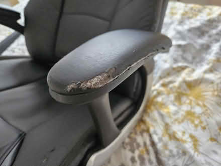 Photo of free Executive Office Chair (Harlow CM19) #3