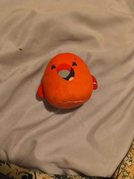 Photo of Tiny squishmellow (Sutherlin oregon) #1