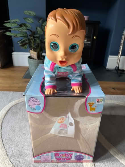 Photo of free Baby Wow doll for 3+ (Bear Flat) #1