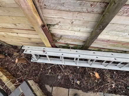 Photo of free 2x 11ft Ladders (Ickleford) #1