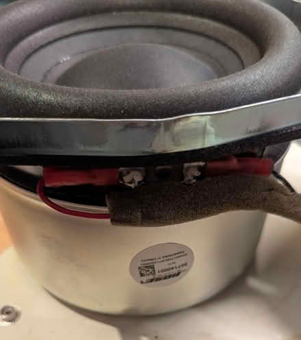 Photo of free Speaker parts for the hobbyist (Carlingwood) #3