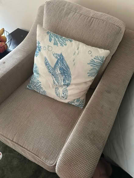 Photo of free Comfy arm chair (EX1) #1