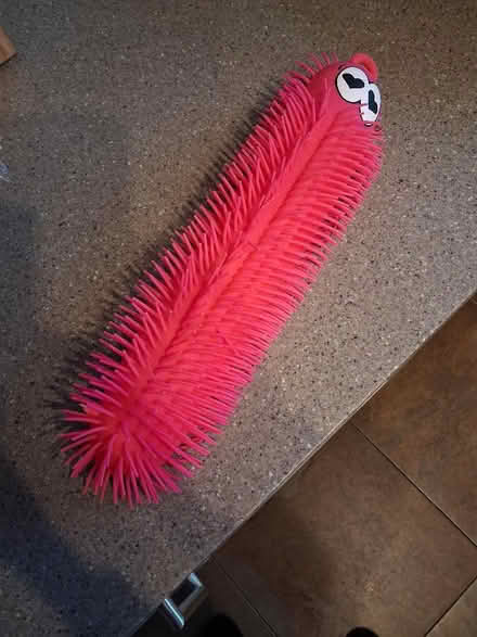 Photo of free Squidgy toy (Telford and Wrekin TF7) #1