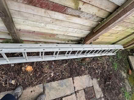 Photo of free 2x 11ft Ladders (Ickleford) #2