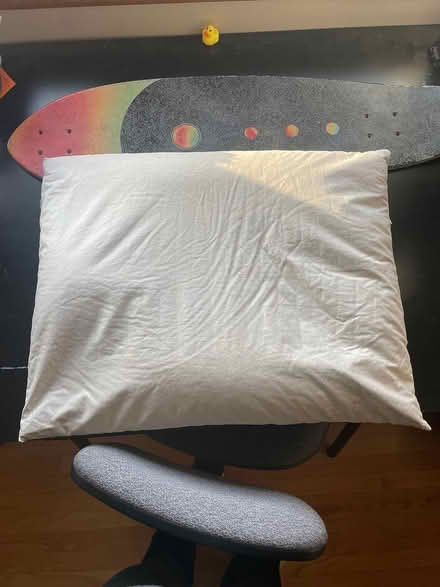 Photo of free Zen leaf buckwheat pillow (Northbrook) #1