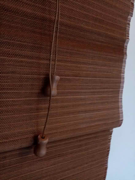 Photo of free Blind (Pimlico, SW1) #3