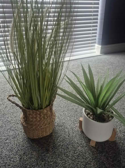Photo of free Artificial Plants (Prescot Merseyside) #1